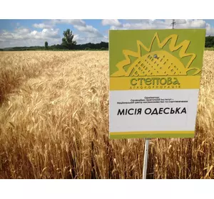 Семена озимой пшеницы Миссия Одесская