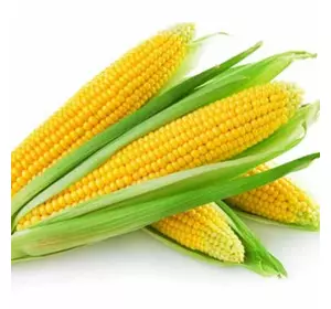 Семена трансгенной кукурузы SEDONA BT 166