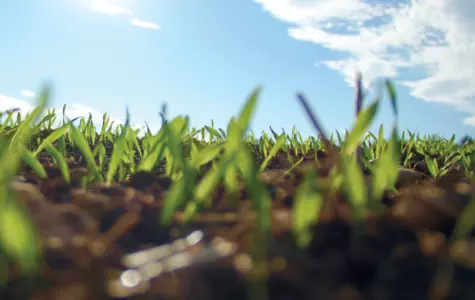 Органические удобрения, гуматы Органические удобрения, гуматы